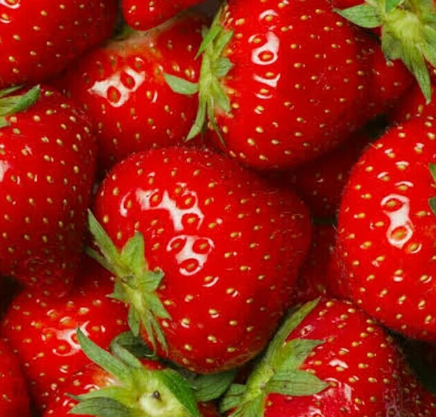 Fresh berries