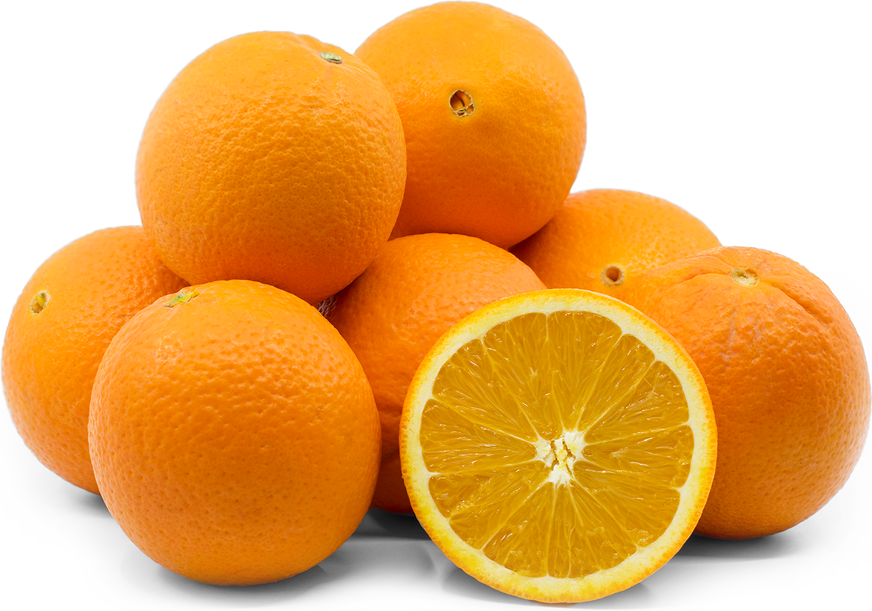 Citrus