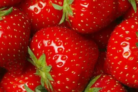 Berries — wholesale produce for South Florida restaurants