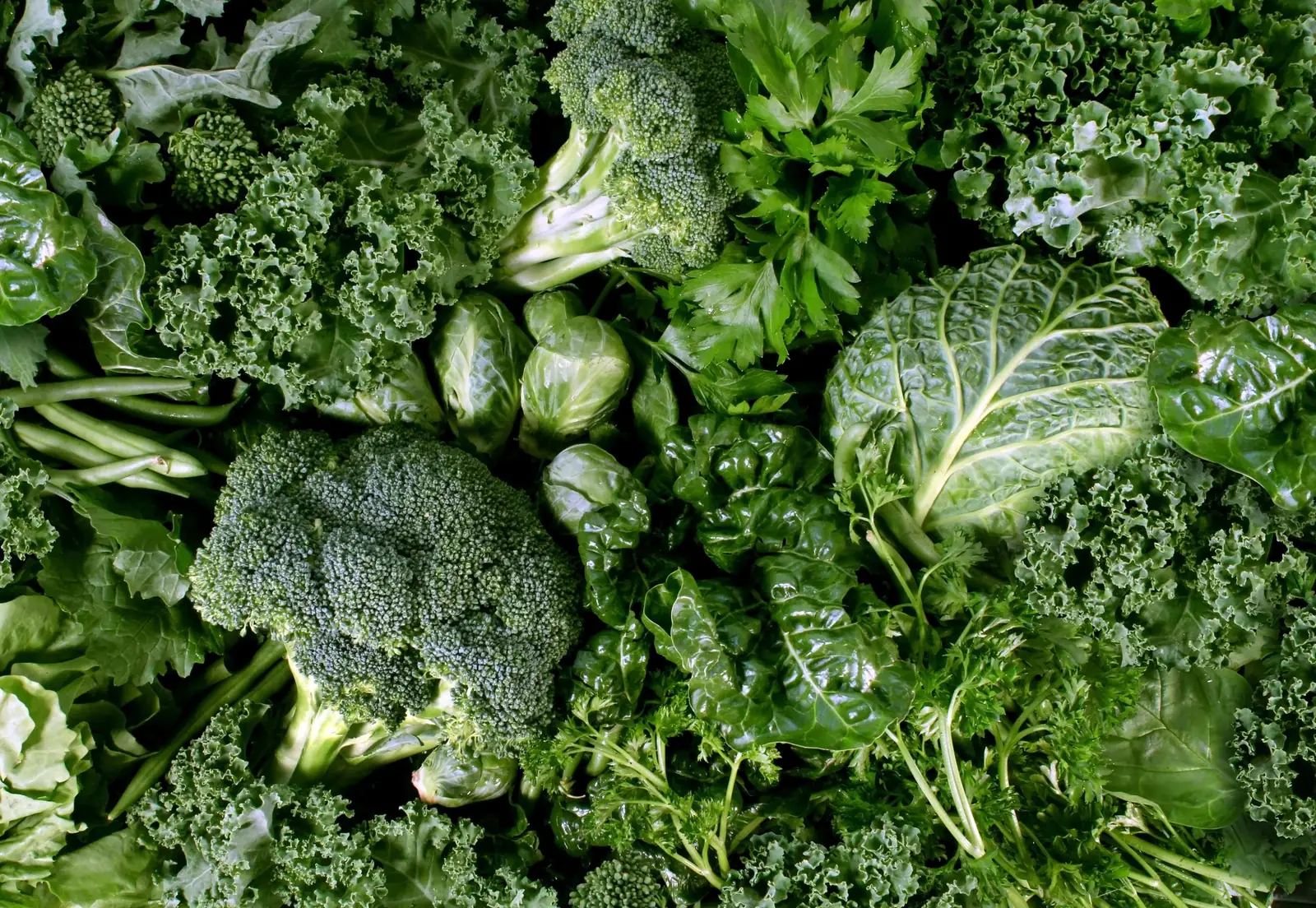 Fresh wholesale produce delivered to North Palm Beach restaurants