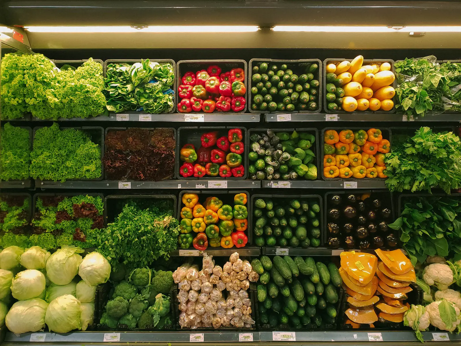 Certified Organic — wholesale produce for South Florida restaurants