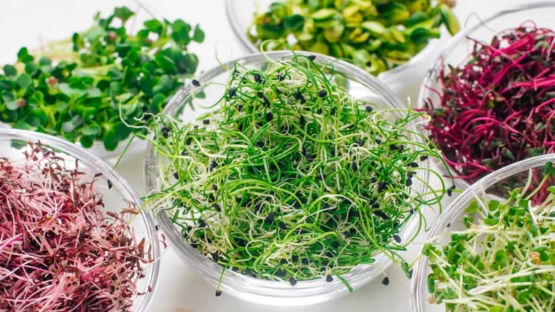 Specialty Produce — wholesale produce for South Florida restaurants