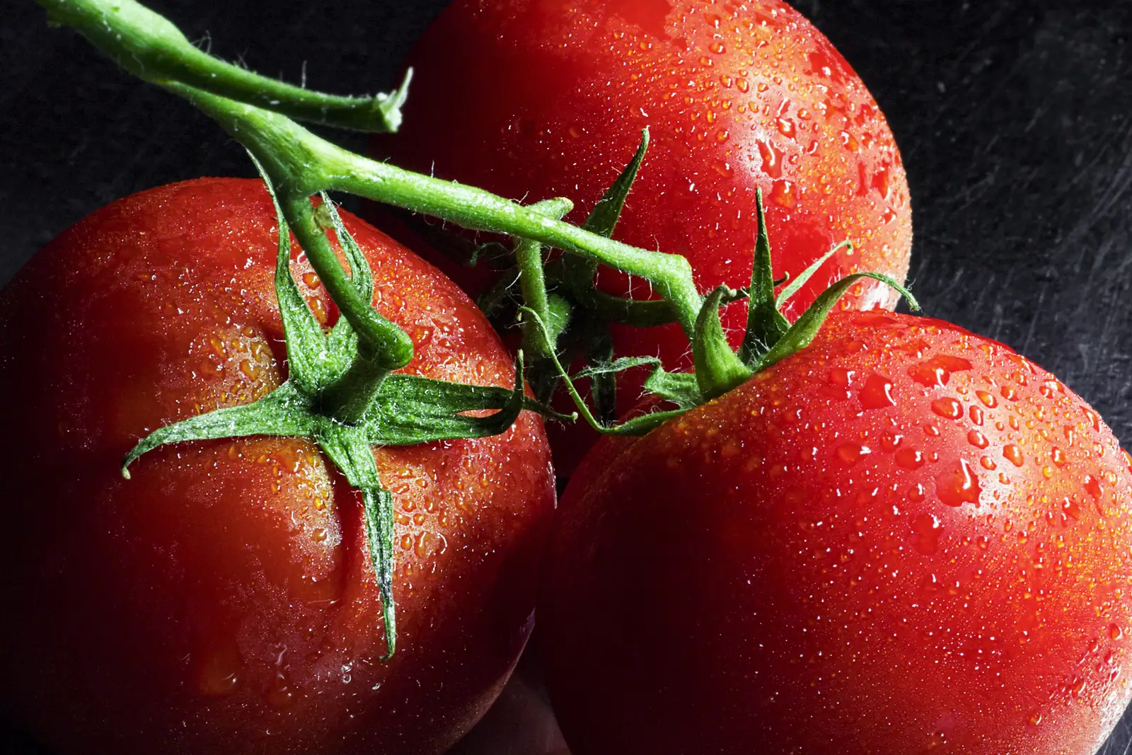 Tomatoes — wholesale produce for South Florida restaurants