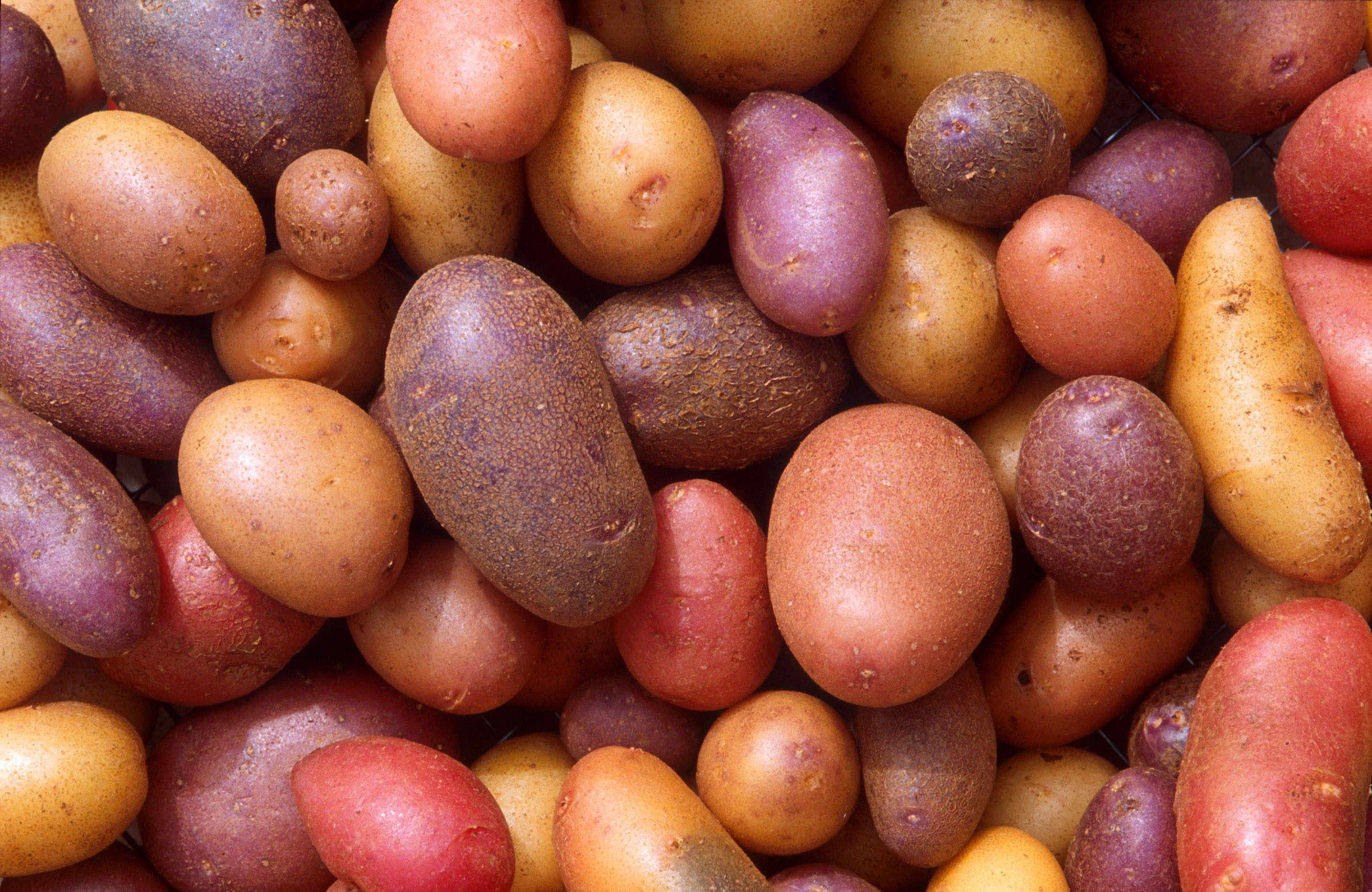 Root vegetables